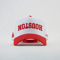 Houston Cougars Hat